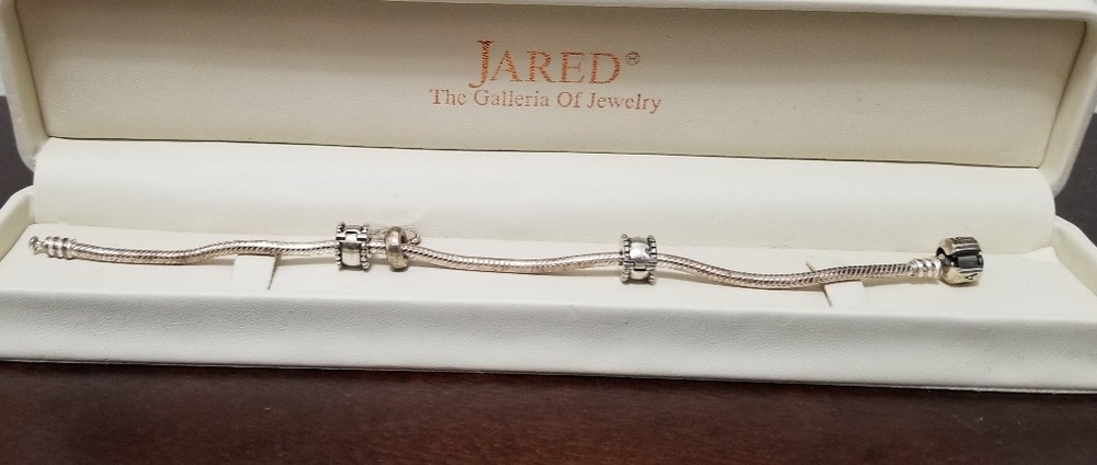 Pandora Moments Snake Bracelet